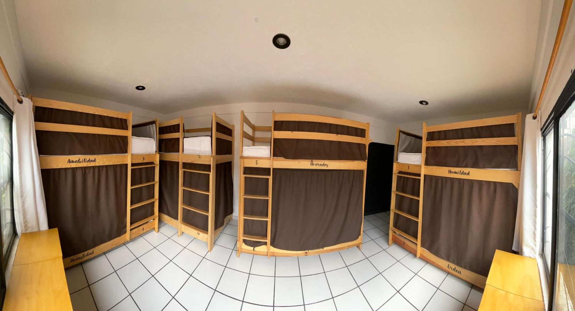 Hostal Roma Condesa Мехіко Екстер'єр фото